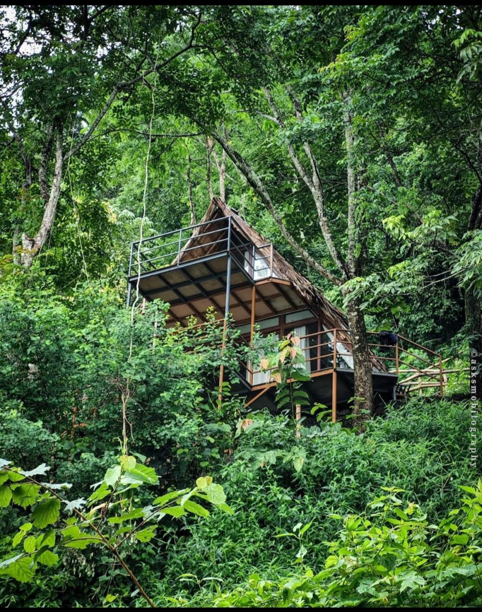 Pīrmed Sunset Valley Kerala Pool Resort - Serene Natural Forest Cottage Stay In Idukki With Sunrise & Sunset Panoramas, Natural Streams & Tranquil Summer Evenings מראה חיצוני תמונה